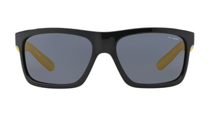 Gafas de sol Arnette AN4190 Easy Money