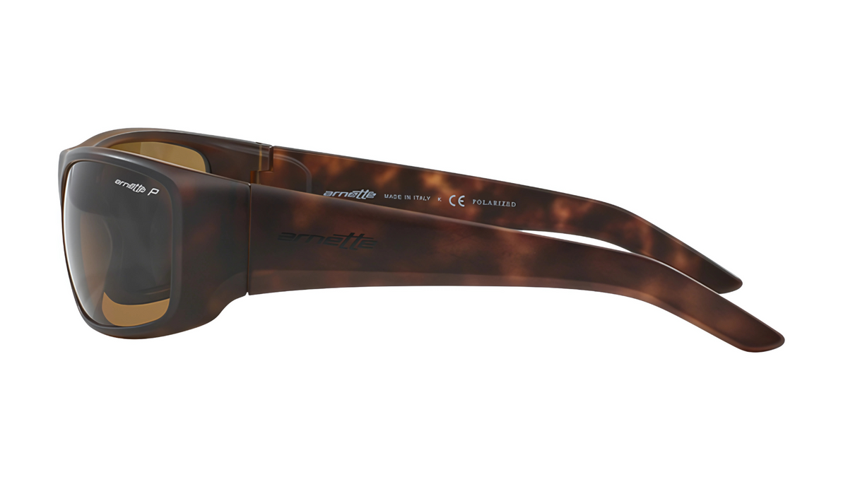 Gafas de sol Arnette AN4182 Hot Shot