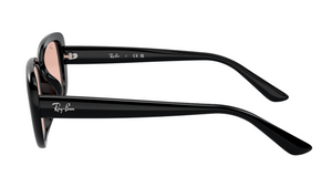 Gafas de sol Ray-Ban RB4421D
