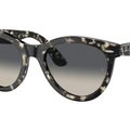 Gafas de sol Ray-Ban RB2241 Wayfarer Way