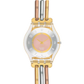 Reloj Swatch SS08K101B Metálico Unisex