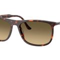Gafas de sol Ray-Ban RB2216