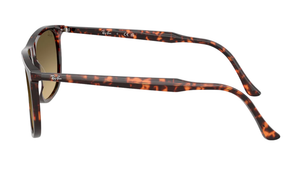 Gafas de sol Ray-Ban RB2216