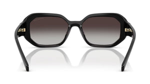 Gafas de sol Michael Kors MK2240U Siesta Key