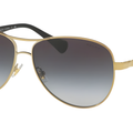 Gafas de sol Ralph Lauren RA4117