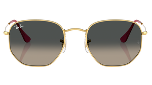 Gafas de sol Ray - Ban RB3548/N