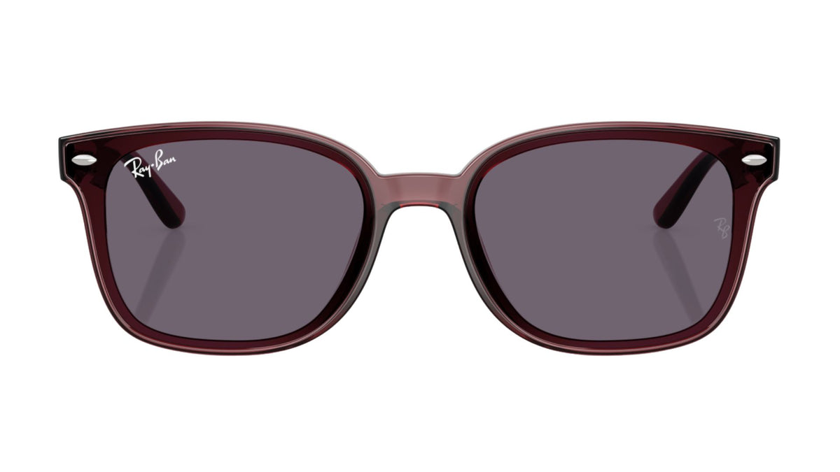 Gafas de Sol Ray - Ban RB4461D