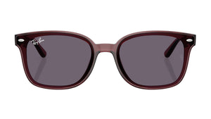 Gafas de Sol Ray - Ban RB4461D