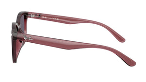 Gafas de Sol Ray - Ban RB4461D