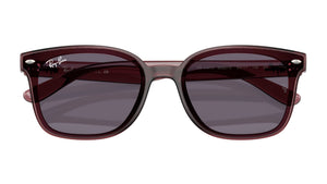 Gafas de Sol Ray - Ban RB4461D