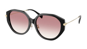 Gafas de sol Michael Kors MK2248D