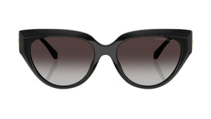 Gafas de sol Micahel Kors MK2241U