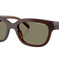 Gafas de sol Armani Exchange AX4155SU
