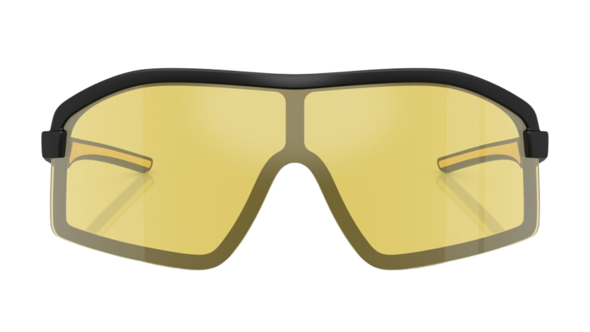 Gafas de sol Ferrari FZ6010U
