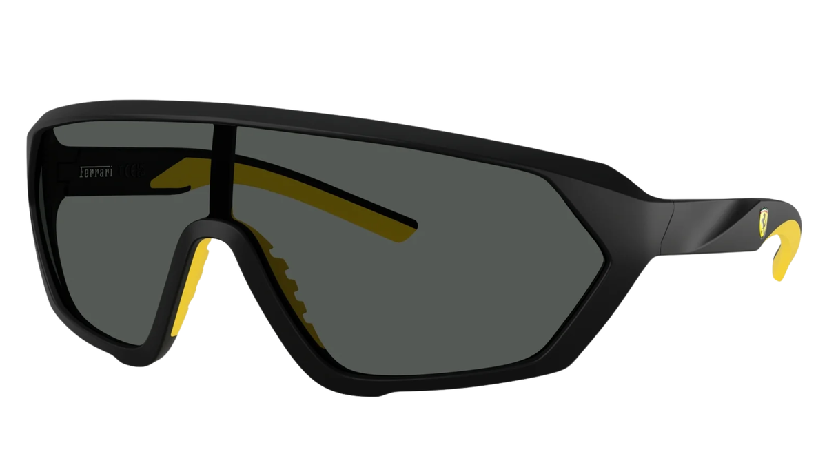 Gafas de sol Ferrari FZ6017U