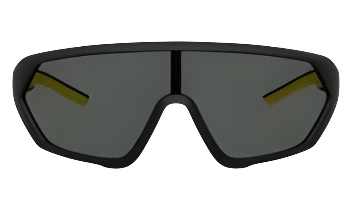 Gafas de sol Ferrari FZ6017U