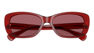 Gafas de sol Ralph Lauren RA5322U