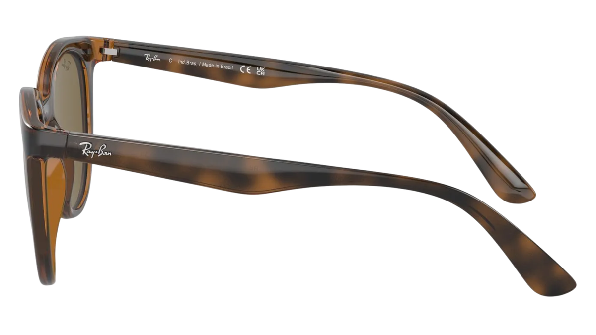 Gafas de sol Ray - Ban RB4383L