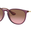 Gafas de sol Ray - Ban RB4171 Erika