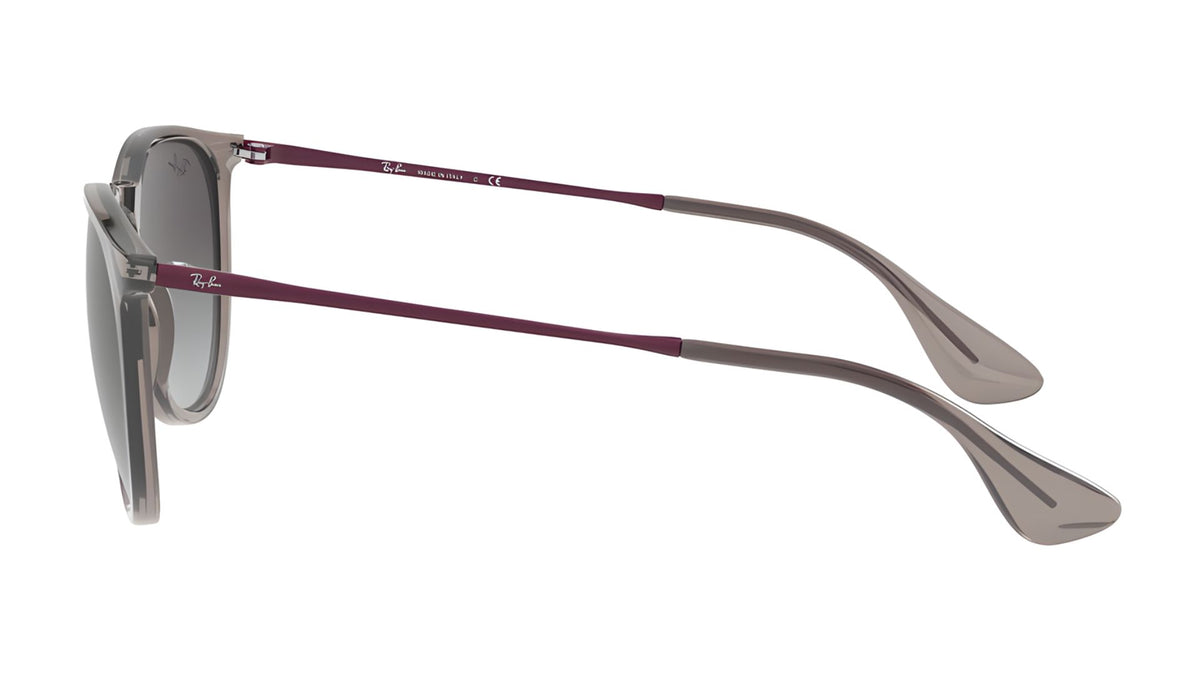 Gafas de sol Ray - Ban RB4171 Erika