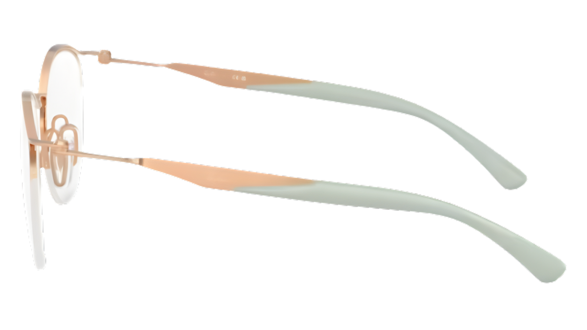 Montura Ray - Ban RB7553