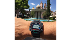 Reloj Casio DW - 290 - 1VS Plástico Unisex