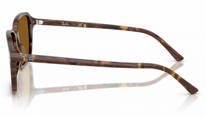 Gafas de sol Ray - Ban RB2231 Raimond