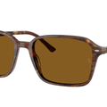 Gafas de sol Ray - Ban RB2231 Raimond