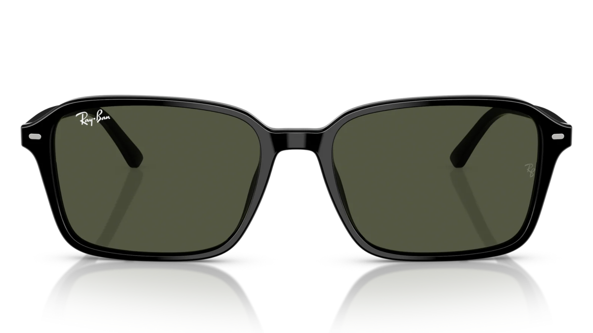 Gafas de sol Ray - Ban RB2231 Raimond