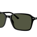 Gafas de sol Ray - Ban RB2231 Raimond
