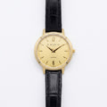 Reloj D´ Mario ZE32071 Mujer
