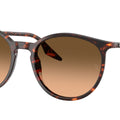 Gafas de sol Ray-Ban RB2204 14293B
