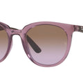 Gafas de sol Ray-Ban RB4383L 657468